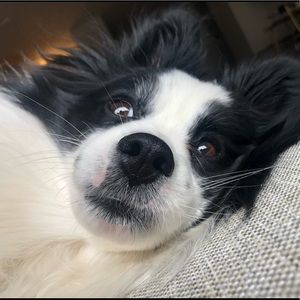 Meet your Posher, Georgia